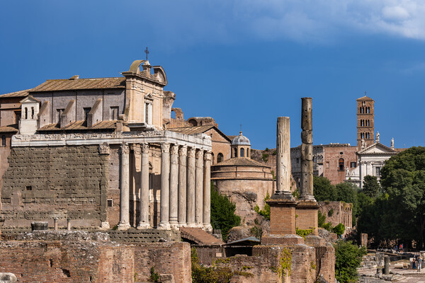 Temples And Churches At Roman Forum Picture Board by Artur Bogacki
