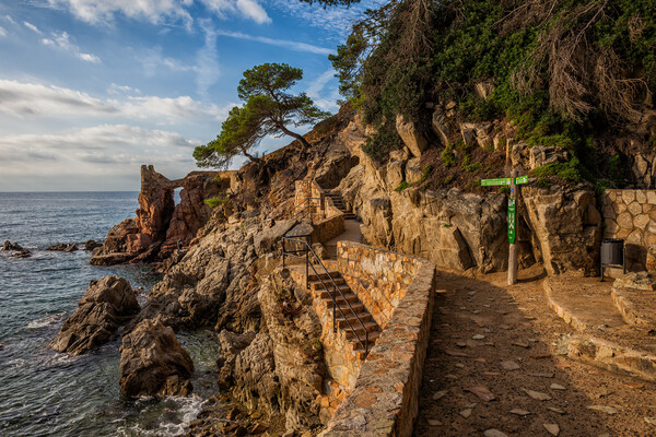 Watchman Path In Lloret de Mar On Costa Brava In Spain Picture Board by Artur Bogacki