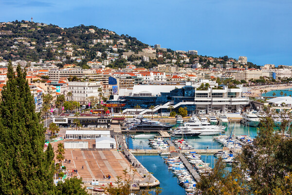 City Of Cannes On French Riviera In France Picture Board by Artur Bogacki
