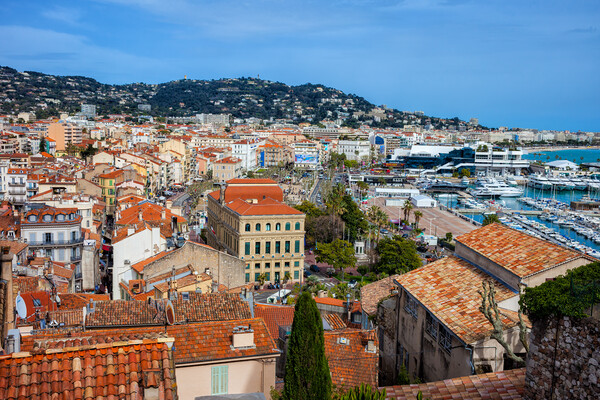 City of Cannes Cityscape Picture Board by Artur Bogacki