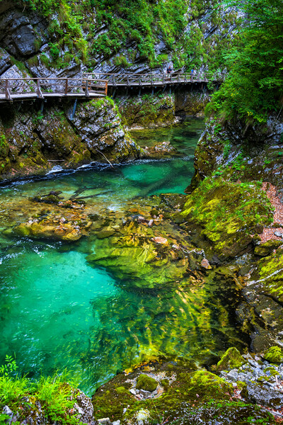 The Vintgar Gorge Scenic Landscape In Slovenia Picture Board by Artur Bogacki