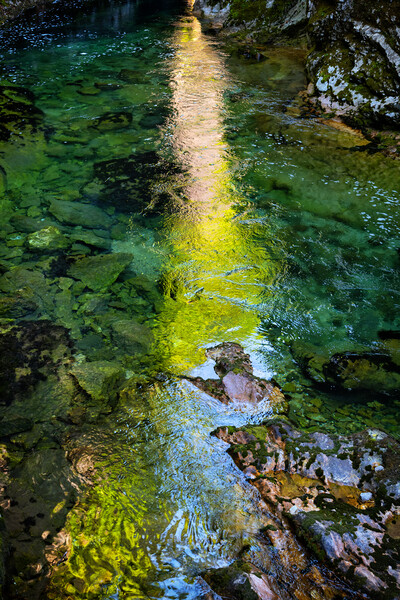Sunlight Reflection In River Of Vintgar Gorge Picture Board by Artur Bogacki