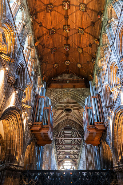 The Glasgow Cathedral Interior In Scotland Picture Board by Artur Bogacki