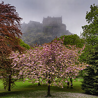 Buy canvas prints of Princes Street Gardens And Edinburgh Castle In Fog by Artur Bogacki