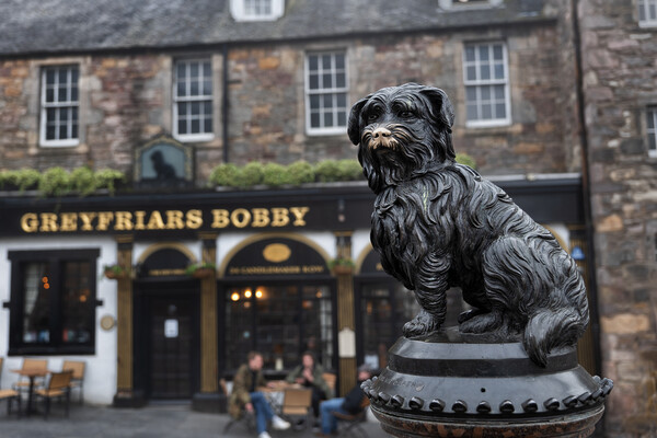 Greyfriars Bobby Statue In Edinburgh Picture Board by Artur Bogacki
