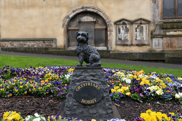 Monument to Greyfriars Bobby in Edinburgh Picture Board by Artur Bogacki