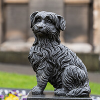 Buy canvas prints of Greyfriars Bobby Statue In Edinburgh by Artur Bogacki
