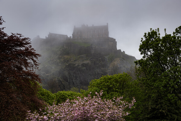 Edinburgh Castle In Fog At Dusk Picture Board by Artur Bogacki