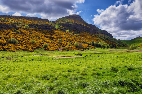 Holyrood Park Landscape With Arthur Seat In Edinburgh Picture Board by Artur Bogacki