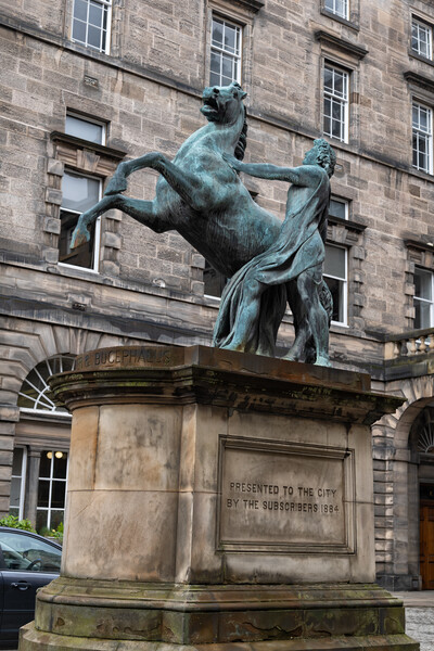 Alexander and Bucephalus in Edinburgh Picture Board by Artur Bogacki