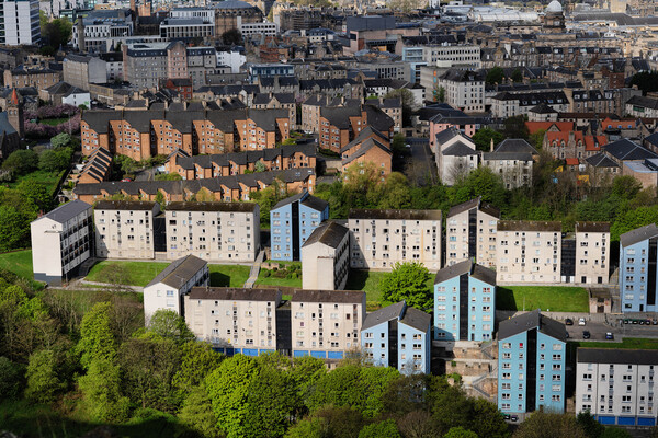 Edinburgh Houses Aerial View In Scotland Picture Board by Artur Bogacki