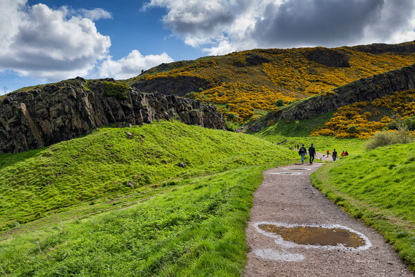 Hiking Trail In Holyrood Park In Edinburgh Picture Board by Artur Bogacki