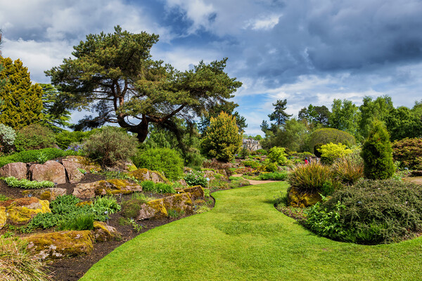 Royal Botanic Garden Edinburgh Picture Board by Artur Bogacki