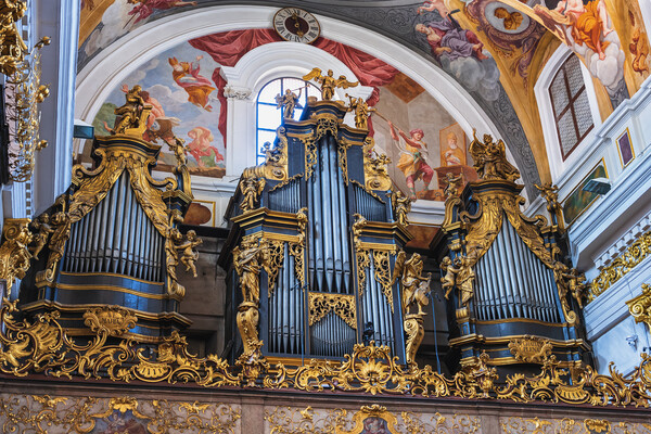 Ljubljana Cathedral Pipe Organs In Slovenia Picture Board by Artur Bogacki