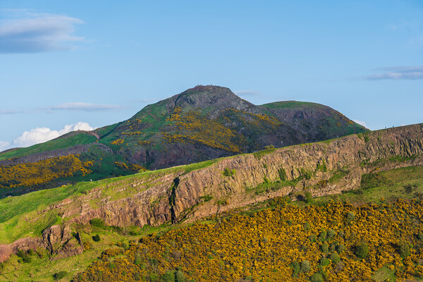 Scottish Lowlands Landscape With Arthur Seat Picture Board by Artur Bogacki