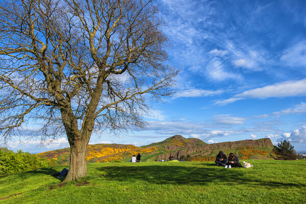 Calton Hill And Arthur Seat In Spring, Edinburgh Picture Board by Artur Bogacki