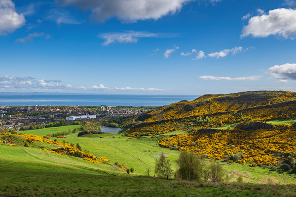 Holyrood Park Lothian Landscape in Edinburgh Picture Board by Artur Bogacki