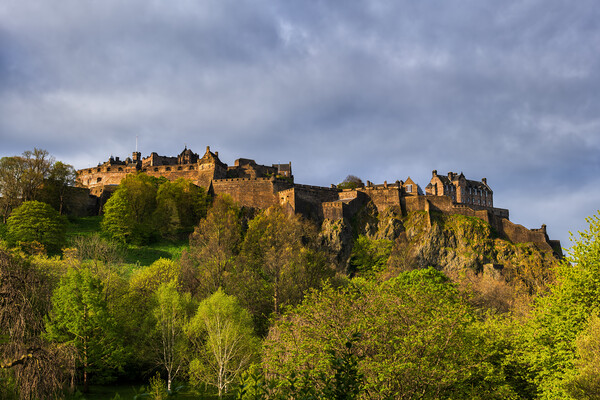 Edinburgh Castle In Scotland Picture Board by Artur Bogacki
