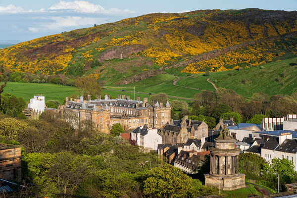 Edinburgh Landscape With Holyrood Palace Picture Board by Artur Bogacki