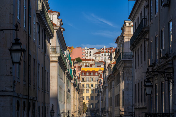 Lisbon City Center With Baixa And Alfama Districts Picture Board by Artur Bogacki