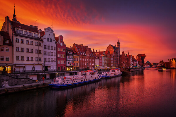 Gdansk City Skyline At Twilight In Poland Picture Board by Artur Bogacki