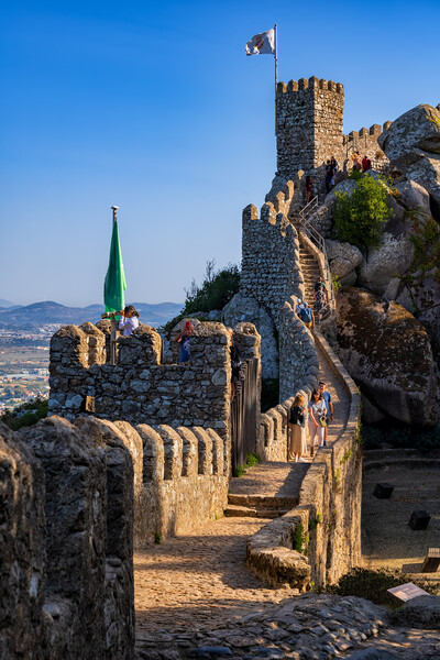 Moorish Castle In Sintra, Portugal Picture Board by Artur Bogacki
