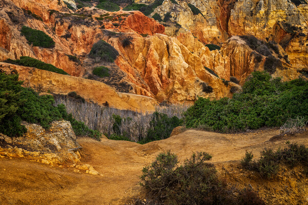 Algarve Landscape In Portugal Picture Board by Artur Bogacki