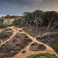 Buy canvas prints of Hillside Coastal Paths In Algarve by Artur Bogacki