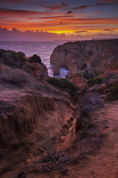 Algarve Coast At Sunset In Portugal Picture Board by Artur Bogacki