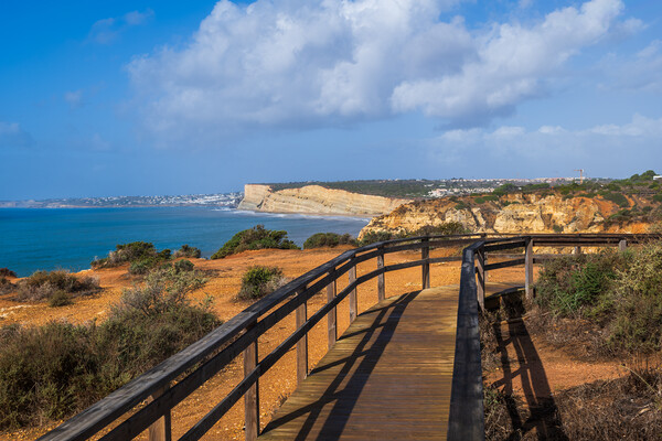 Algarve Landscape With Boardwalk In Portugal Picture Board by Artur Bogacki