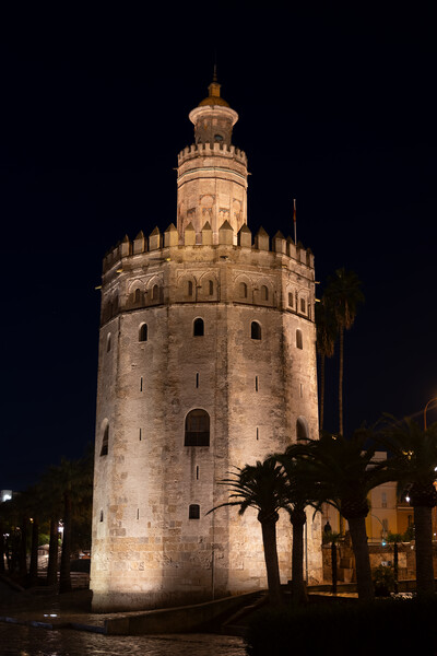 Tower Of Gold At Night In Seville Picture Board by Artur Bogacki
