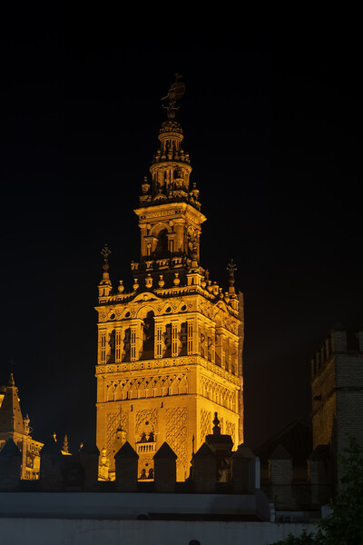 Giralda Bell Tower Of Seville Cathedral At Night Picture Board by Artur Bogacki