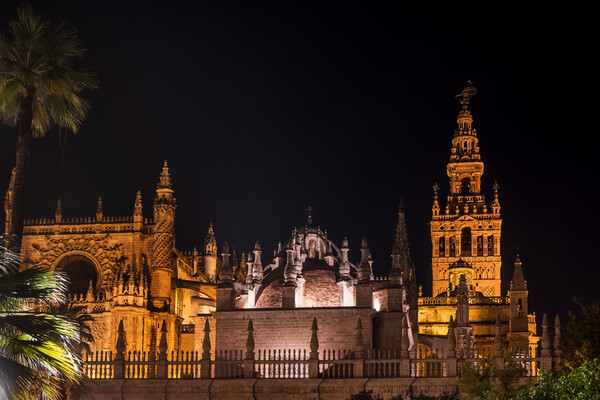 Seville Cathedral At Night In Spain Picture Board by Artur Bogacki