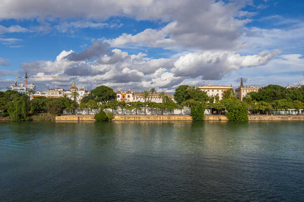 Seville Skyline From Guadalquivir River Picture Board by Artur Bogacki