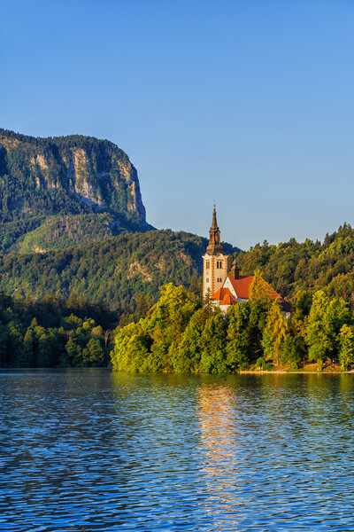 Sunrise At Lake Bled In Slovenia Picture Board by Artur Bogacki