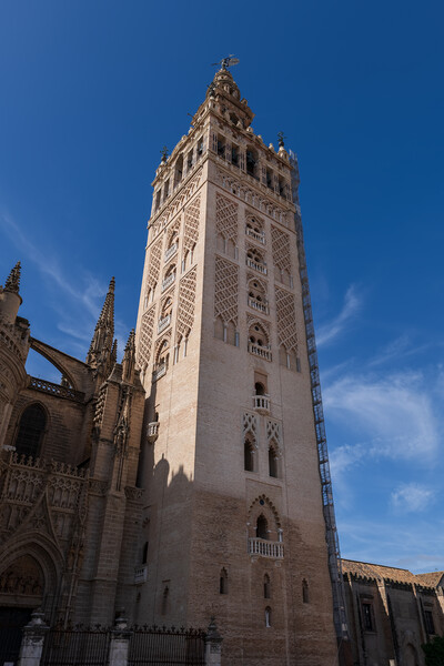 La Giralda Tower Of Seville Cathedral Picture Board by Artur Bogacki
