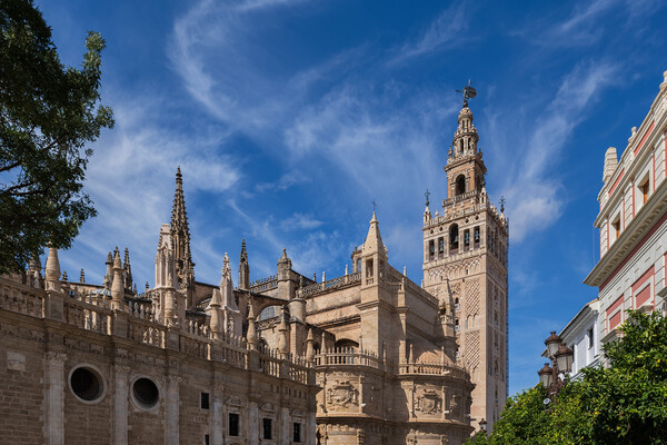 Seville Cathedral And Giralda Bell Tower Picture Board by Artur Bogacki
