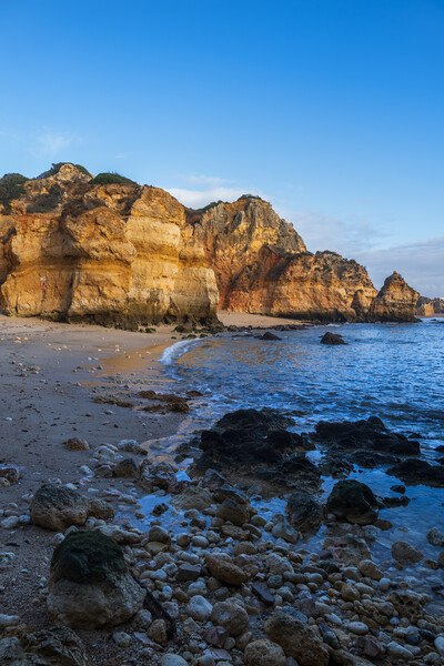 Algarve Coast From Camilo Beach In Portugal Picture Board by Artur Bogacki