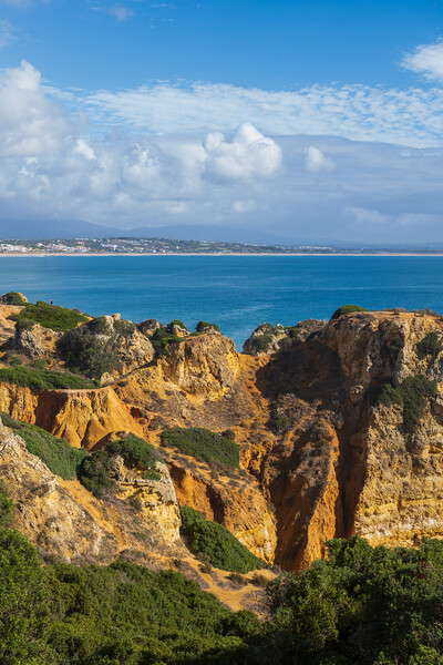 Scenic Algarve Coastline In Portugal Picture Board by Artur Bogacki