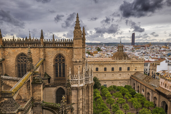 Seville Cathedral With Garden Of Orange Trees Picture Board by Artur Bogacki
