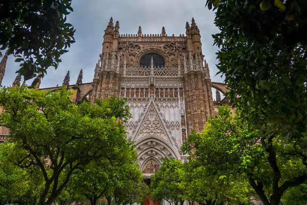 Seville Cathedral From Orange Trees Courtyard Picture Board by Artur Bogacki