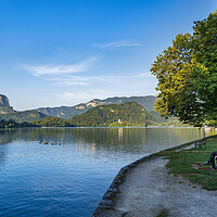 Buy canvas prints of Angle at Lake Bled in Slovenia by Artur Bogacki