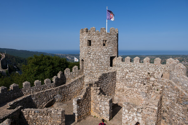 Castle of the Moors in Sintra, Portugal Picture Board by Artur Bogacki
