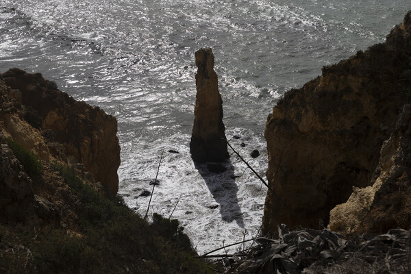 Algarve Coast With Steeple Rock In The Ocean Picture Board by Artur Bogacki