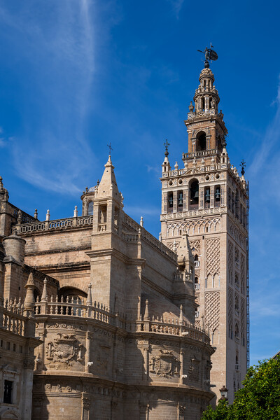 Seville Cathedral With Giralda Bell Tower Picture Board by Artur Bogacki