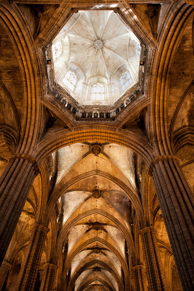 Gothic Vault In Barcelona Cathedral Interior Picture Board by Artur Bogacki