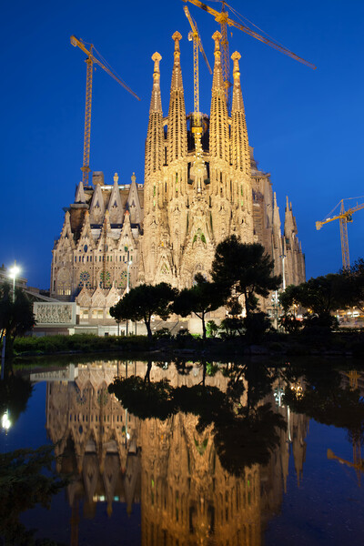 Sagrada Familia in Barcelona at Night Picture Board by Artur Bogacki