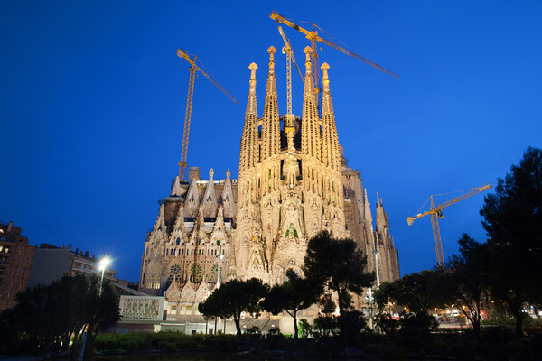 Sagrada Familia in Barcelona at Night Picture Board by Artur Bogacki