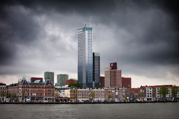 City of Rotterdam Skyline in Holland Picture Board by Artur Bogacki