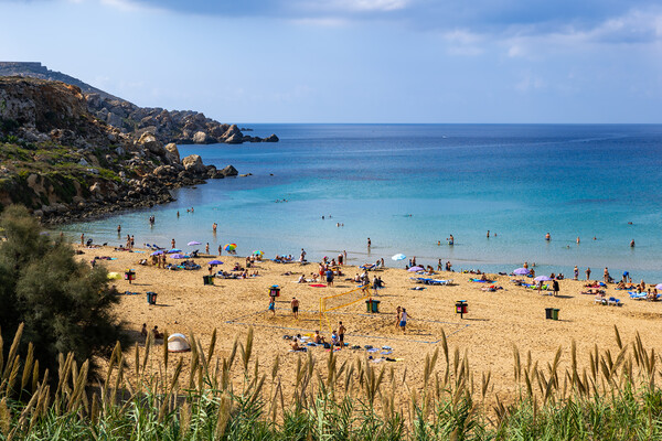 Golden Bay And Beach On Malta Island Picture Board by Artur Bogacki